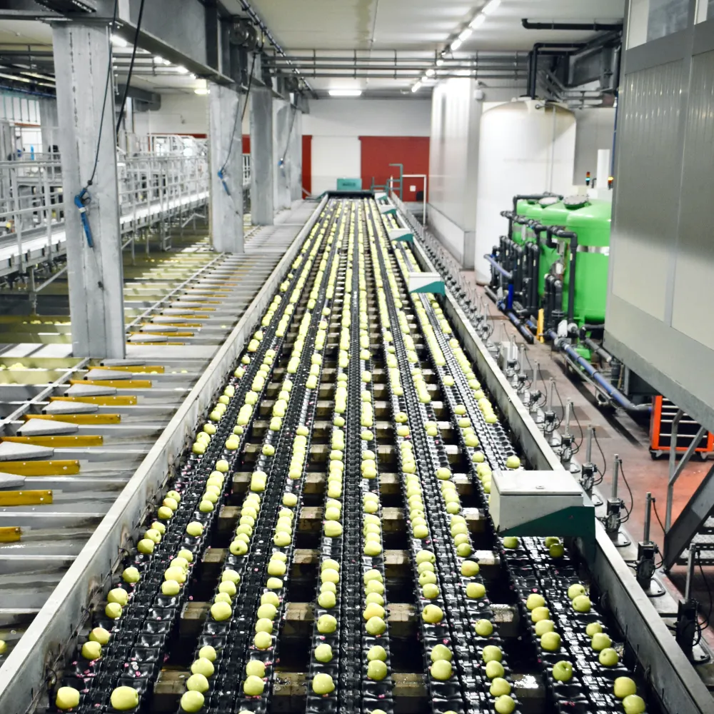 Food Processing Industry